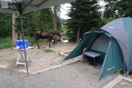 Stay out of my tent